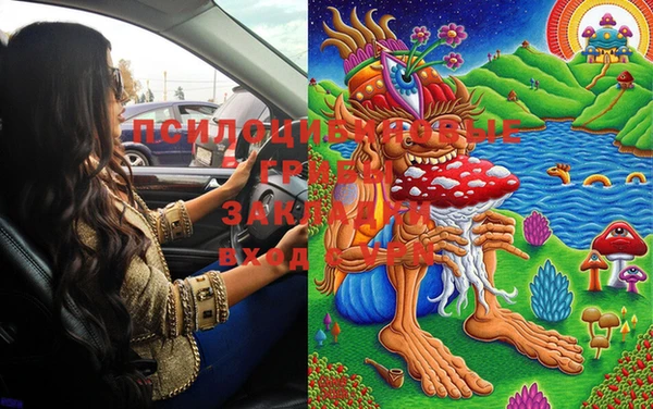 PSILOCYBIN Краснослободск
