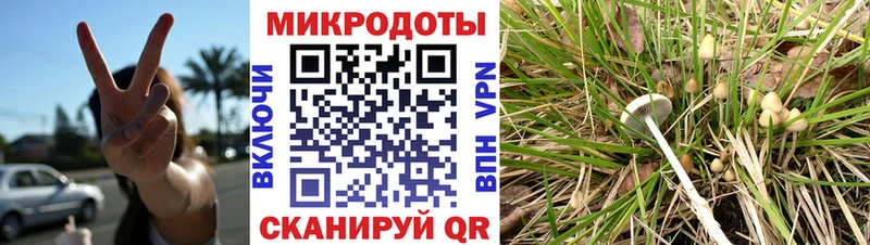 Купить закладки  Давлеканово  Псилоцибиновые грибы Cubensis 